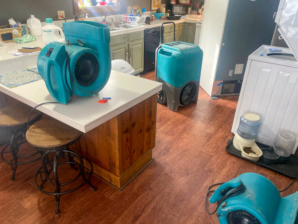 Best Flood damage cleanup  in San Leon, TX