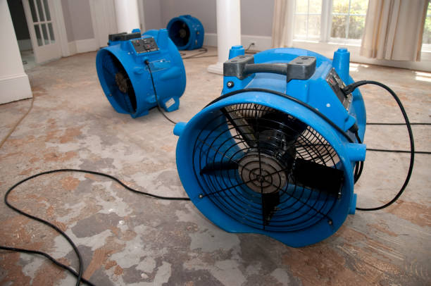 Best 24/7 water damage repair  in San Leon, TX